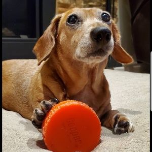 Meet your Posher, Dawne